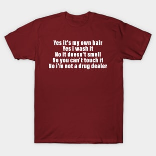 Yes It's My Own Hair Yes I Wash It No It Doesn't Smell T-Shirt